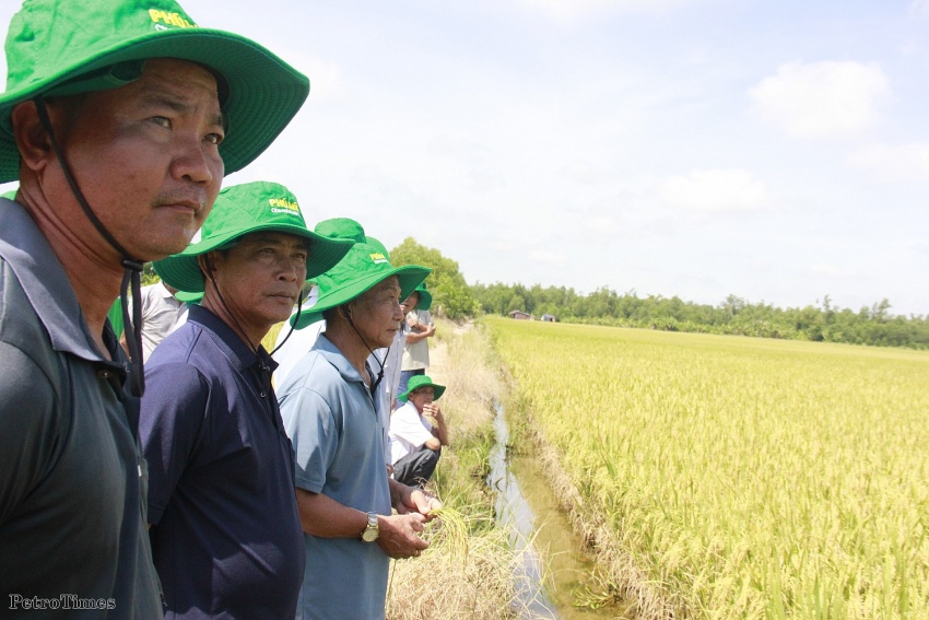 Vì sao khi áp thuế GTGT 5% lại tạo điều kiện giảm giá phân bón?